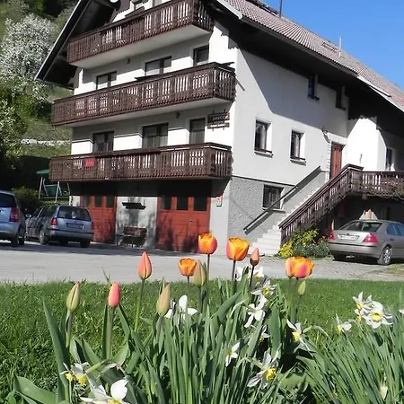 Turisticna Kmetjia Davcen *